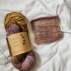 Lichen and Lace - Superwash Merino Skein In Winter Harvest